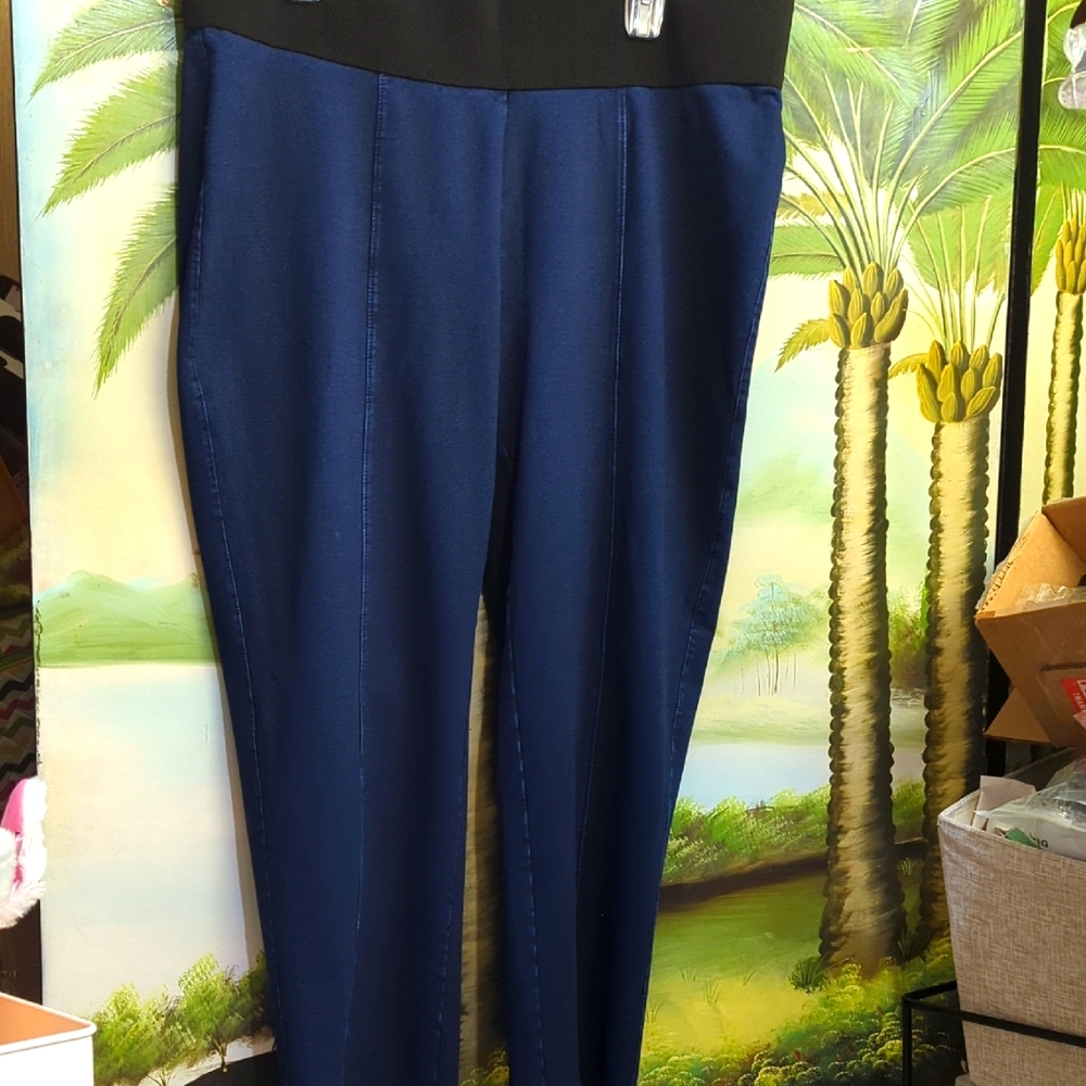 Women's Blue Jeans Size 3x Nygard Slims